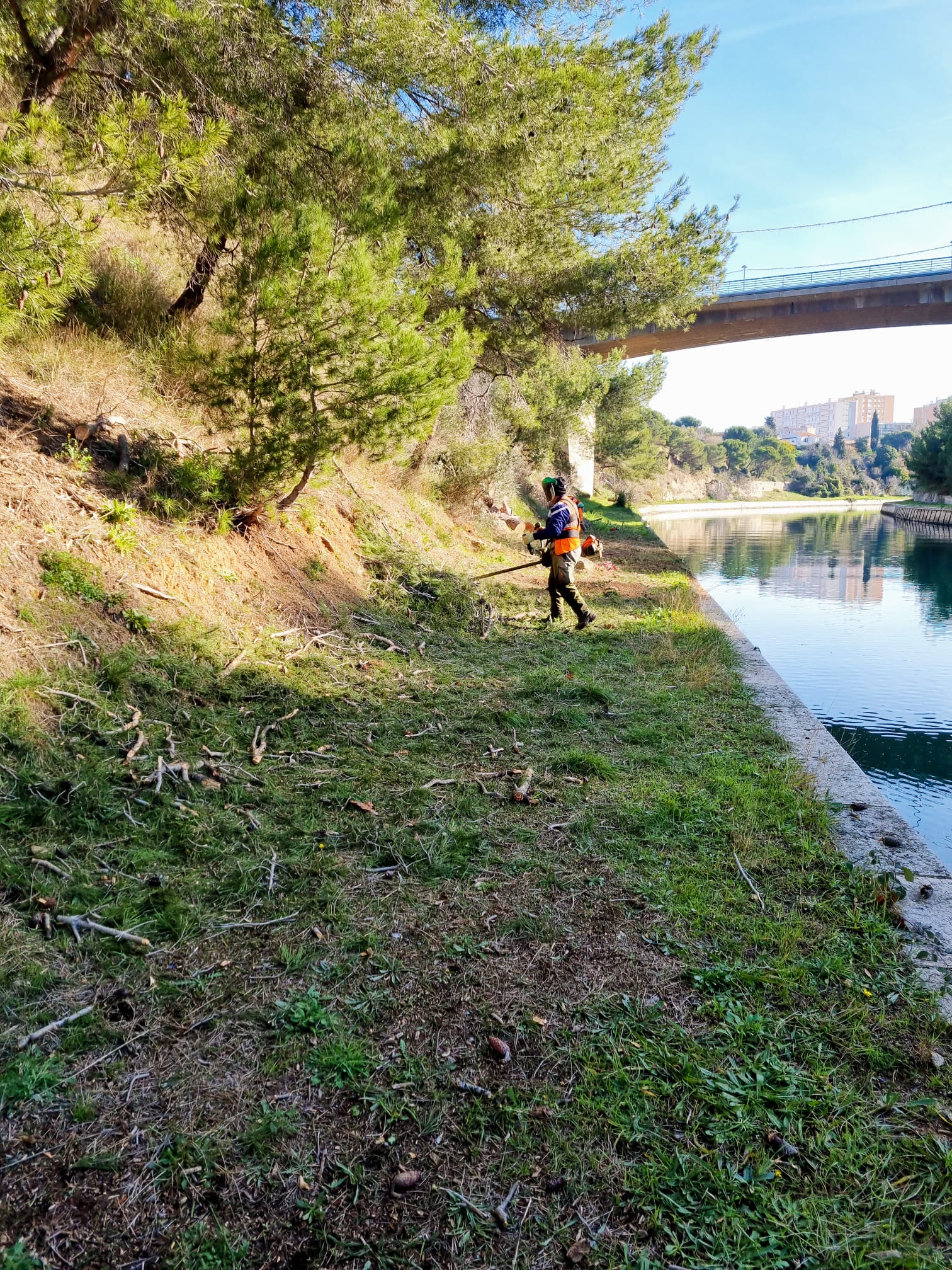 Débroussaillage professionnel des berges d'un cours d'eau sous un pont