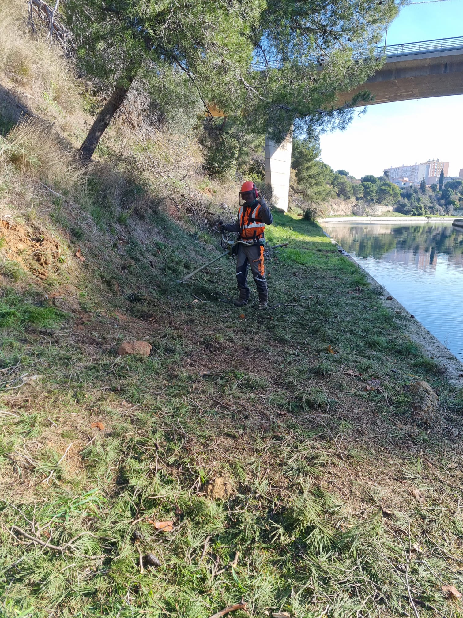 Ouvrier en équipement de sécurité débroussaillant les berges d'un canal